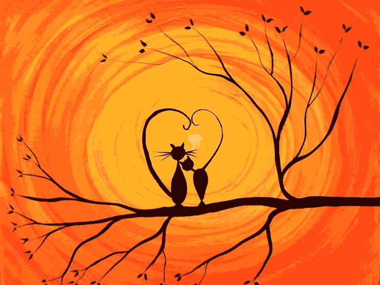 Romantika sorozat: Dorombolás