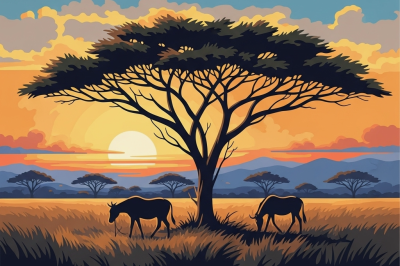 Sunset over the savannah
