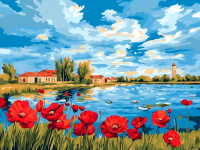 Poppies at the edge of the village