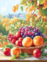 Fruit Basket Still Life