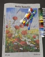 Poppies in the spring meadow