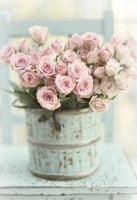 Romantic rose bouquet