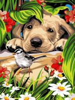 The puppy and the little bird