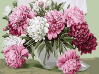 Peony still life
