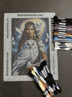 Indian girl with a white owl